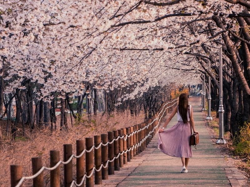 philosopher's path kyoto