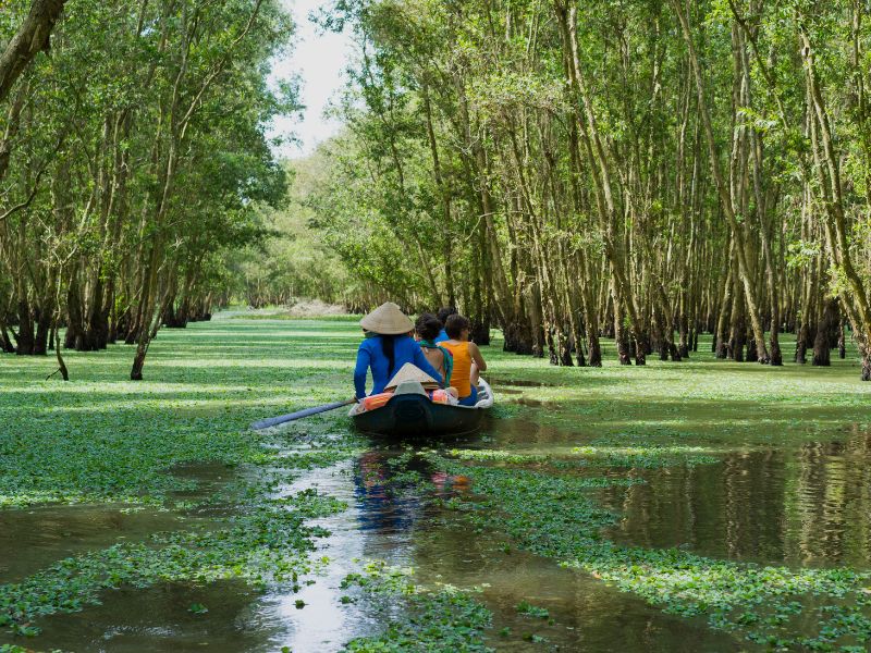 mekong delta