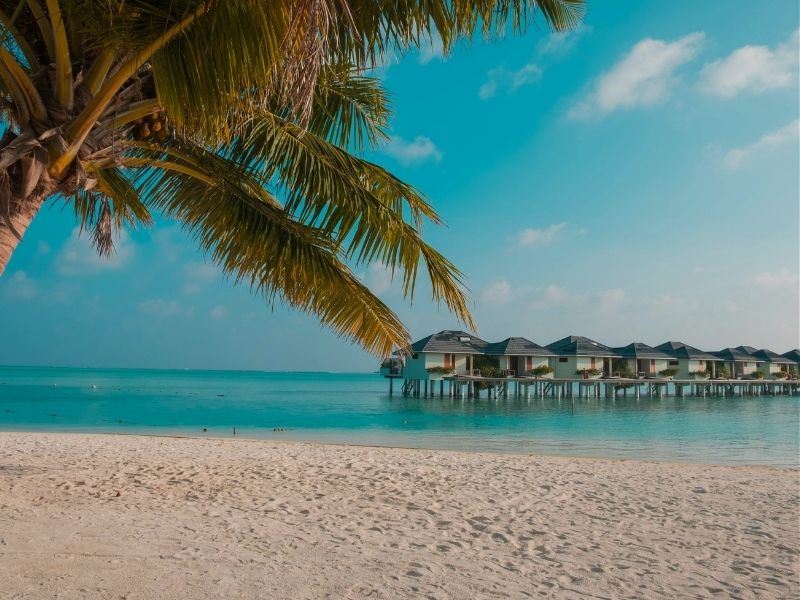 overwater bungalows