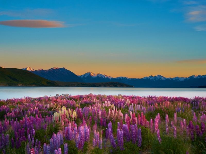 queenstown