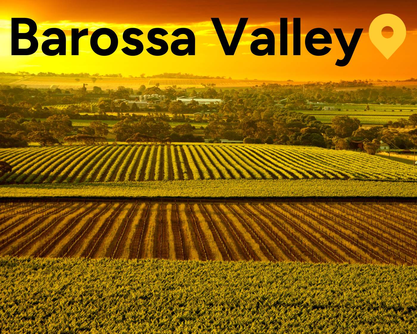 barossa valley