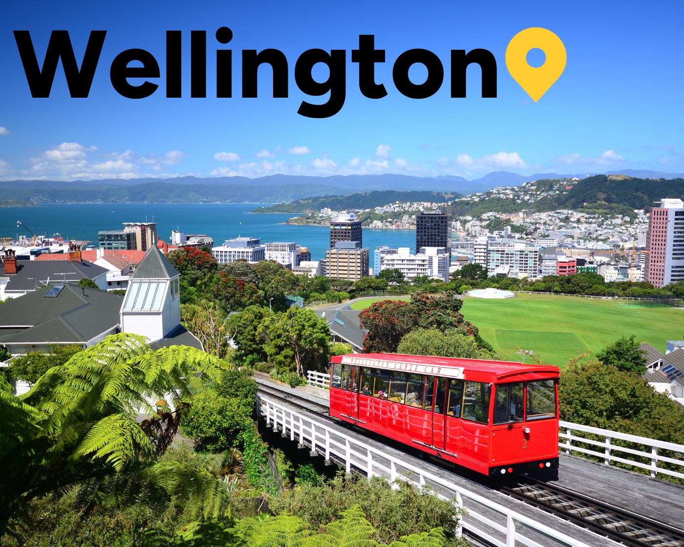 wellington