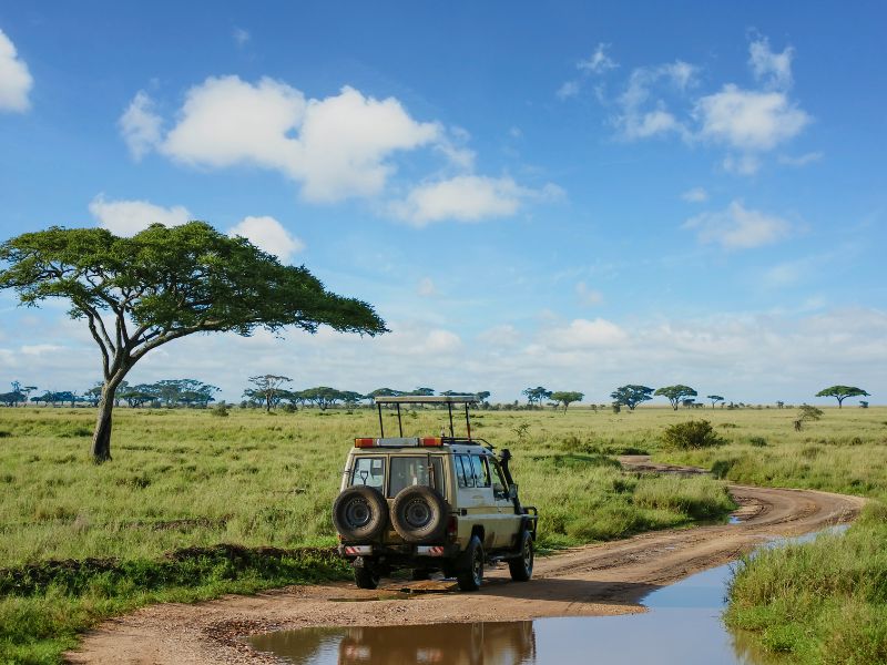 Africa-safari