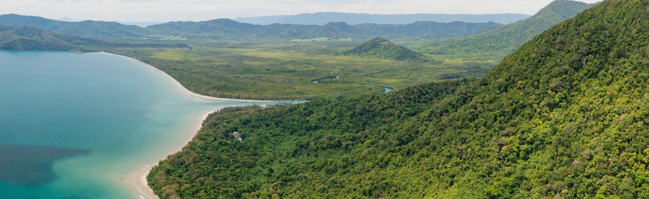 daintree national park