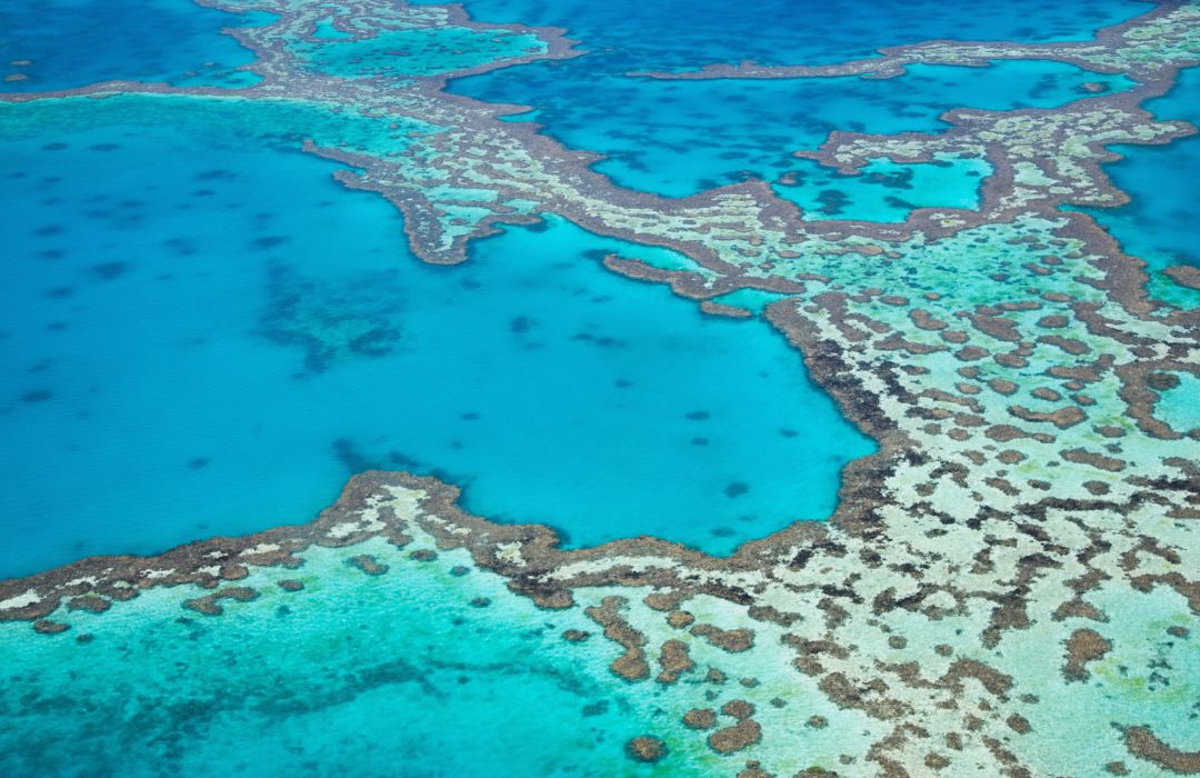 great barrier reef