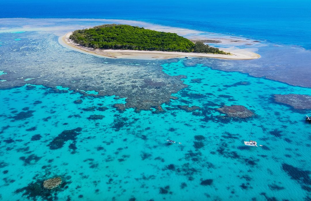 lady musgrave island southern great barrier reef