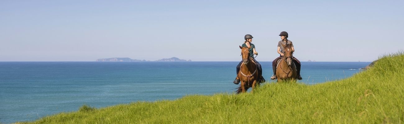new-zealand-horse-riding