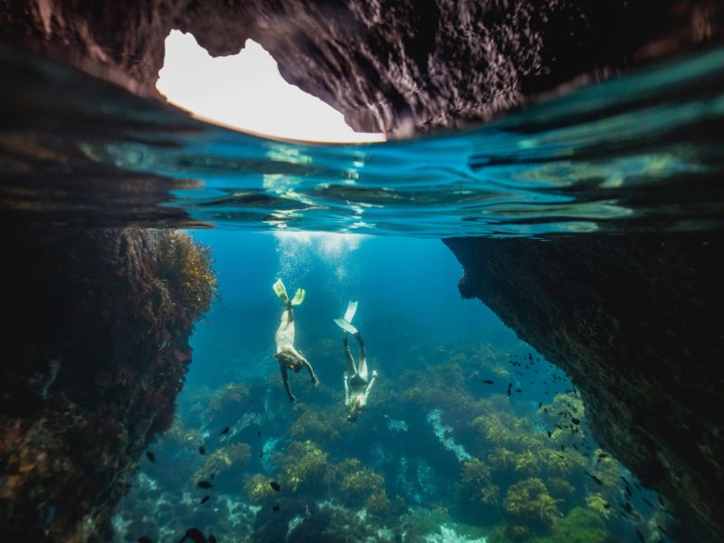 new-zealand-snorkellers