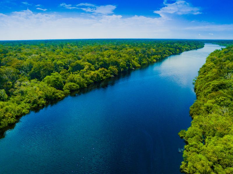 South-America-Amazon-Rain-forest