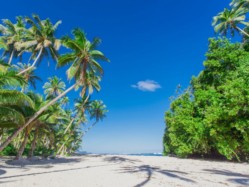 south-pacific-tropical-beach